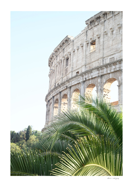 The Colosseum in Rome with Palm #1 #travel #wall #art