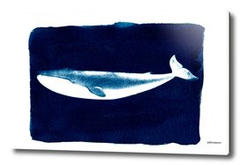 Cyanotype whale