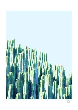 Cactus by the Sea