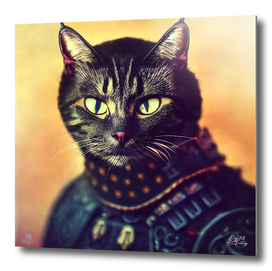 Nisha - Cat wearing an armor #4