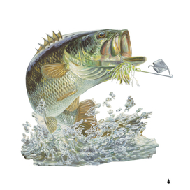 fish illustration fishing
