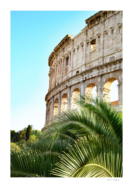 The Colosseum in Rome with Palm #2 #travel #wall #art