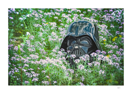 Vader in Wild Flowers