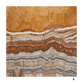 brown Marble Tile Rock Stone Floor Melaleuca rock