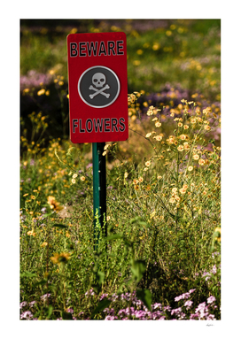 Beware Flowers