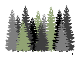 vectors forest trees evergreen