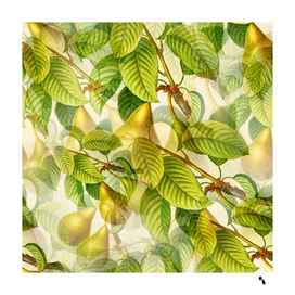 pear fruit tree organic pattern