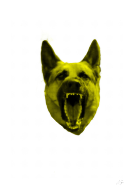 Wolf | Pop-art | Yellow