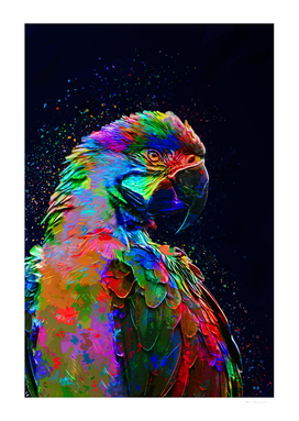 Colored Parrot I