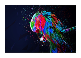 Colored Parrot III