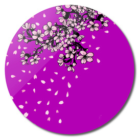 shower of falling cherry blossom petals