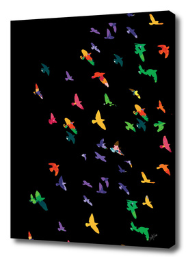 Colorful Flying birds