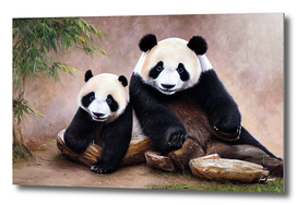 Cheerful Pandas