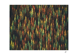 green and brown pine trees illustration nature