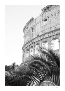 The Colosseum in Rome with Palm in Black & White #1 #travel