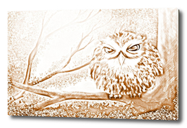 Owl Bird
