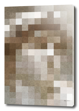 Pixel of David