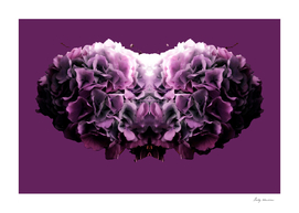 hydrangea purple copy 3