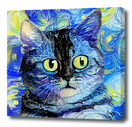 Starry Night Tabby Cat