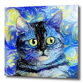 Starry Night Tabby Cat