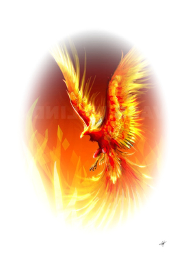 orange phoenix bird fire