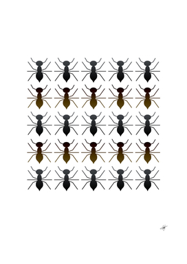 ants insect pattern cartoon ant animal