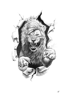 drawing angry male lion roar animal