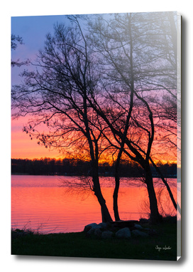 Sunset on a lake landscape with trees