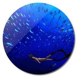 Fan Fish Shoal with Diver Escort