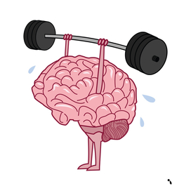 brain exercise training