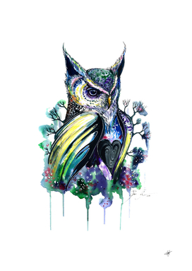 Multicolored owl illustration