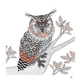 owl bird coloring book doodle illustration