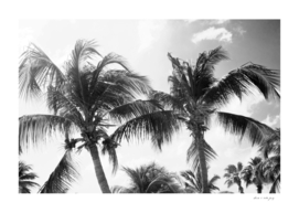 Caribbean Palm Trees Beach Vibes #2 #tropical #wall #decor