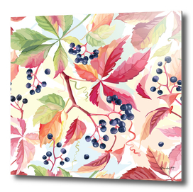 Wild Grape In Autumn Colors