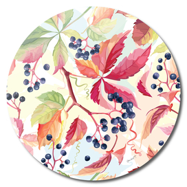 Wild Grape In Autumn Colors