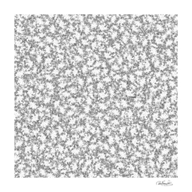 Bacterias drawing black and white pattern