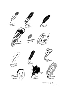 A misguided guide to feathers