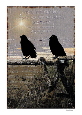 Singing Crows