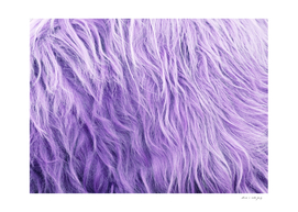 Purple Faux Highland Cow Fur #1 (Faux Fur) #animal #fur