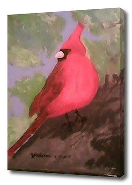 Abstract Red Cardinal