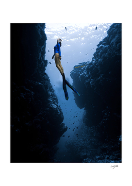 Free Diver Rising to the Light