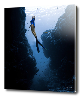 Free Diver Rising to the Light