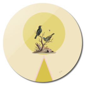 Bird in yellow circle