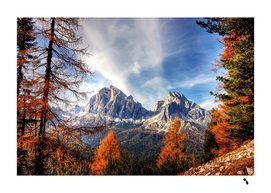 Dolomites Mountains Alps Alpine Trees Conifers