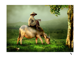 Man Cow Riding Farmer Shepherd Buffalo Asia