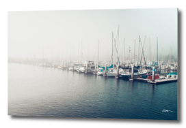 Morning fog over Monterey Bay