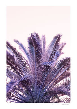 Palm Leaves Beach Dream #1 #tropical #wall #art