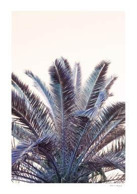 Palm Leaves Beach Dream #2 #tropical #wall #art