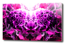 Duality in bloom flower Background