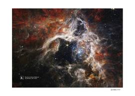 JWST Tarantula Nebula (James Webb/JWST)